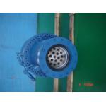 Ultra high Pressure Double Ended Hydraulic Cylinder For Nuclear Power Station
