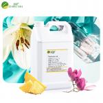 Wholesale Bulk Perfume Oil Fragrance High Concentrate Oil For Roll On Perfume for sale