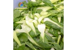 China Vegetable Leaves Vegetables Leafy vegetables Cabbage varieties Herbs Fruiting vegetables Vortex washer Cleaning processing production Machine supplier