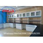 Modern Customizable Chemistry Lab Furniture Laboratory Furnitures Suppliers for Storage and Safety for sale