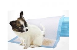 China Non Woven Pet Pee Pad supplier