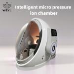 Intelligent Micro Pressure Ion Chamber 1.3ATA Anti-aging Antioxidant WEIZI for sale