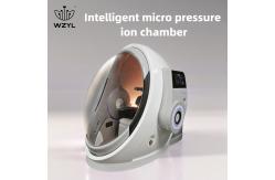 China Intelligent Micro Pressure Ion Chamber 1.3ATA Anti-aging Antioxidant WEIZI supplier