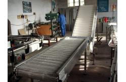 China                  Automatic Conveyor System/Conveyor Board/Conveying              supplier