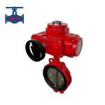 Automatic Actuation Electric Butterfly Valve for General Applications for sale