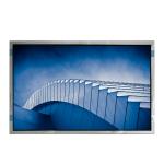 VVX31P153H00 31.0 inch WLED 350 cd/m2 LCD Display Screen Panel for sale