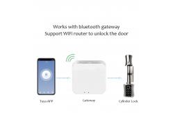 China Zinc Alloy Wireless Biometric Fingerprint Door Lock Password Smart Door Lock supplier
