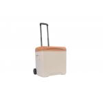 Fishing BBQ Ice Cooler Box PU Foam Insulation For Camping for sale