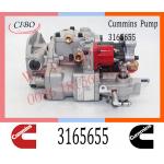 Cummins Diesel KTA855 Engine Fuel Injection Pump 3165655 3419494 3165437 3165457 for sale