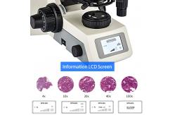China Opto-Edu A12.1062 Binocular Lcd Laboratory Biological Microscope supplier