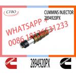 Fuel Injector Assembly 2872544 2086663 2057401 2872405 203183 2894920PX Common Rail Injector for sale