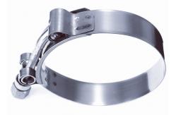 China Exhaust System Oxidation Resistance W2 T Bolt Hose Clamp supplier