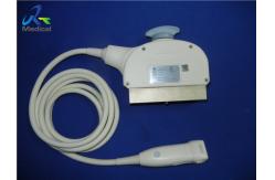China GE M3S Sector Matrix Probe Ultrasound for transcranial supplier