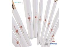 China Custom Nylon Hair 12pcs Travel Brushes Set Natural Wood Handle supplier