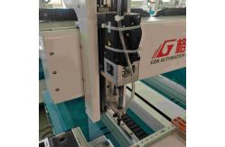 China Customized Automatic Screw Locking Machine Z Axis Automatic Screw Driver Machine supplier