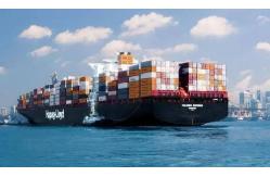China LCL FCL Sea Freight Shipping supplier