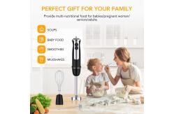 China Variable Speed Handheld Mixer Blender , Professional Hand Blender Stick supplier