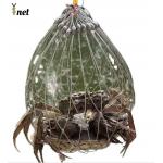 Customized Crab Net Bait Cage Foldable Crab Catching Cage For Ultimate Catch