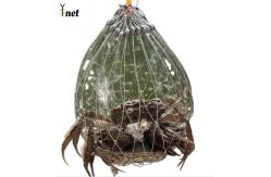 China Customized Crab Net Bait Cage Foldable Crab Catching Cage For Ultimate Catch supplier