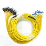 1m 2m 3m G652D 24 Core Branch SM Fc Lc Patch Cord for sale