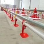 Nipple Drinking System Broilers Poultry Drinking Line 50mm-250mm Tube for sale