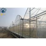 Multi Span Agriculture Greenhouse For Sustainable Crop Cultivation for sale