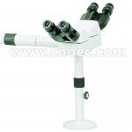 Educational Multi View Microscope Achromatic Microscopes CE A17.1026-C