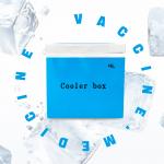 Vaccum Insulated Pannel Shippers VIP Cold Box Maintain Long Cold Time for sale