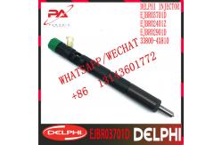 China Hyundai 2.9CRDI DELPHI Diesel Fuel Injector EJBR02401Z EJBR02901D HRD334 supplier