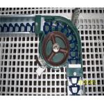 Chain Feeder System Chicken Breeding Equipment