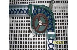 China Chain Feeder System Chicken Breeding Equipment supplier