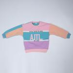 3D Embroidery Pullover Fleece Sweatshirt With Patchwork Color for sale