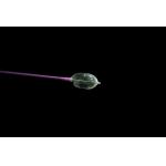 Safety Sterling Balloon Catheter For Spinal Fractures CE Certificate