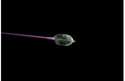 China Safety Sterling Balloon Catheter For Spinal Fractures CE Certificate supplier