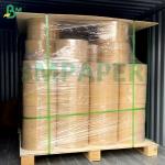 260g 280g 300g Good Sealability Temperature Resistant Paper Board PET Film For Event & Catering for sale