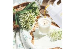 China Bulk Fragrance Distributor Candle Fragrance Oils For Candles Making supplier
