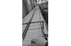 China                  Support Custom Made Expandable Flexible Power Model Conveyor              supplier