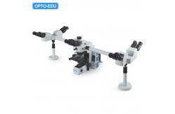 China LED Opto-Edu A17.0950-5 Multi Viewing Microscope Rohs supplier
