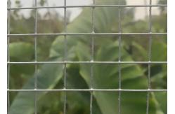 China 10 Gauge Galvanized Welded Wire Mesh Pr For Long Lasting Reinforcement supplier