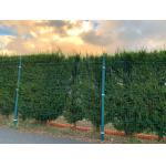 Security Welded Wire Mesh Fence Corrosion Coating 3d Panel for sale