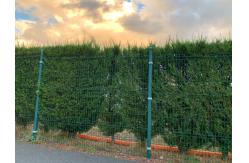 China Security Welded Wire Mesh Fence Corrosion Coating 3d Panel supplier