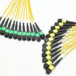 144F MTP MPO Fanout Cable SMG657A1 MPO APC to MPO APC Breakout Fiber Optic Patch Cord for sale