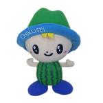 30cm Green Watermelon Boy Custom Plush Dolls Pillow Sofa Cushion Customize for sale