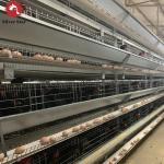 Hot-Dip Galvanized Automatic Chicken Cages For Egg Laying, Battery Cage Farming Equipment With Egg Collection And Disinf for sale