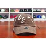 ACE Corduroy Soft Fabric Creative Flat Embroidery Logo Custom Baseball Long Curve Brim Cap for sale