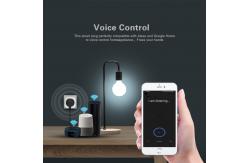 China Brazilian Standard Smart Timer Plug Amazon Alexa Google Plug Socket 2200W supplier