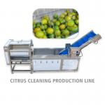 Air Brush Cleansing Citrus Processing Line ,  Anti Abrasion Sullage Removal Potato Processing Line for sale