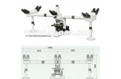 China Educational Multi View Microscope Achromatic Microscopes CE A17.1026-C supplier