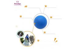 China Customized Logo Printing Interactive 64mm Pet Chew Toys supplier