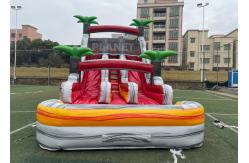 China PVC Stripes Double Lane Water Park Games Slide With Pool supplier